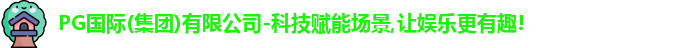 PG国际